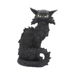 Salem 32.5cm - 100