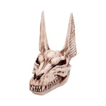 Anubis Skull 17cm - 100