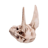 Anubis Skull 17cm - 100