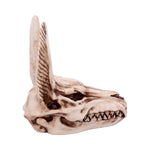 Anubis Skull 17cm - 100