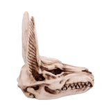 Anubis Skull 17cm - 100