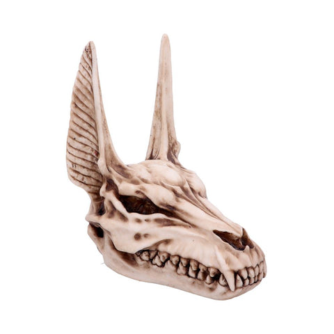 Anubis Skull 17cm - 100