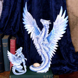 Adult Silver Dragon (AS) 31.5cm - 10