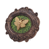 Moth Macabre 22.3cm - 100