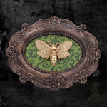 Moth Macabre 22.3cm - 100