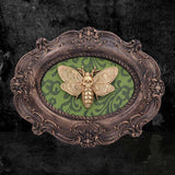 Moth Macabre 22.3cm - 100