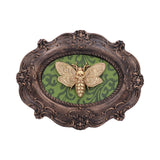 Moth Macabre 22.3cm - 100