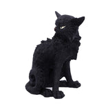 Salem (Small) 19.6cm - 100