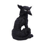 Salem (Small) 19.6cm - 100