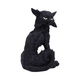 Salem (Small) 19.6cm - 100