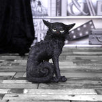 Salem (Small) 19.6cm - 100
