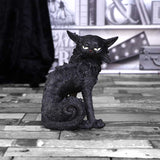 Salem (Small) 19.6cm - 100