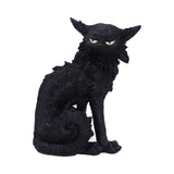 Salem (Small) 19.6cm - 100