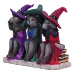 Three Wise Witchy Kittys 15.3cm - 100
