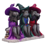 Three Wise Witchy Kittys 15.3cm - 100
