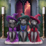 Three Wise Witchy Kittys 15.3cm - 100