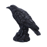 Raven Messenger 25cm - 100