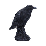 Raven Messenger 25cm - 100