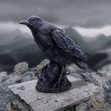 Raven Messenger 25cm - 100