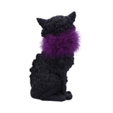 Furgus 19.5cm - 100