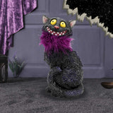 Furgus 19.5cm - 100