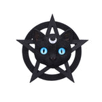 Feline Worship 25.5cm - 100