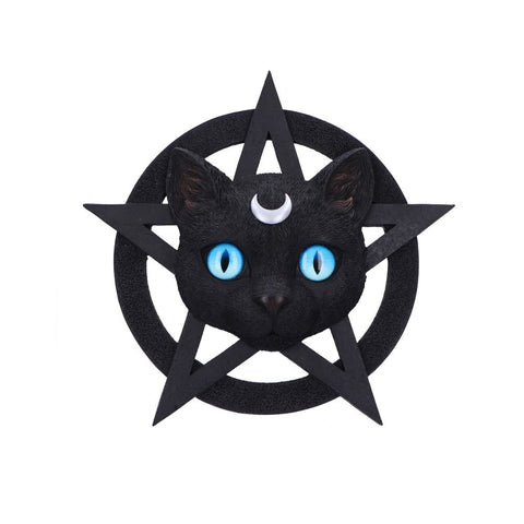 Feline Worship 25.5cm - 100