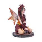 Crystal Fairy Poppy 9.5cm - 100