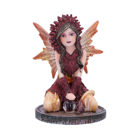 Crystal Fairy Poppy 9.5cm - 100