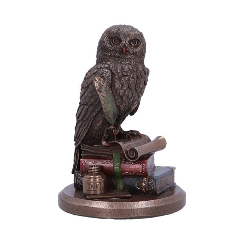 An Owl's Tale 14.5cm - 100
