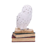 Library of Wisdom 17cm - 100