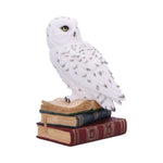 Library of Wisdom 17cm - 100