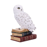 Library of Wisdom 17cm - 100
