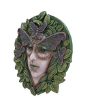 Fern 20cm - 100