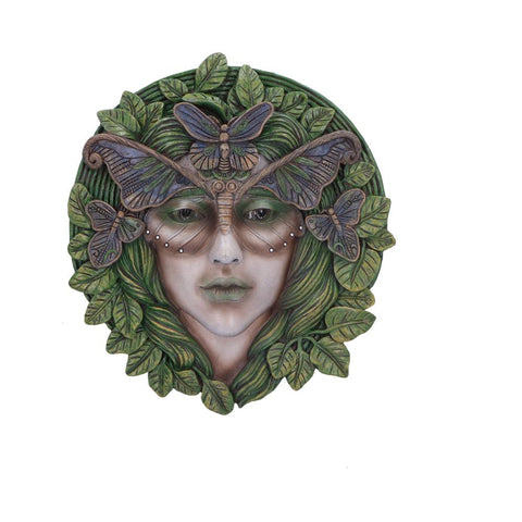 Fern 20cm - 100