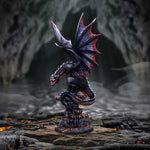 Cathoron's Call 49cm - 100