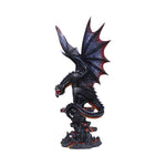 Cathoron's Call 49cm - 100