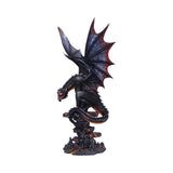 Cathoron's Call 49cm - 100