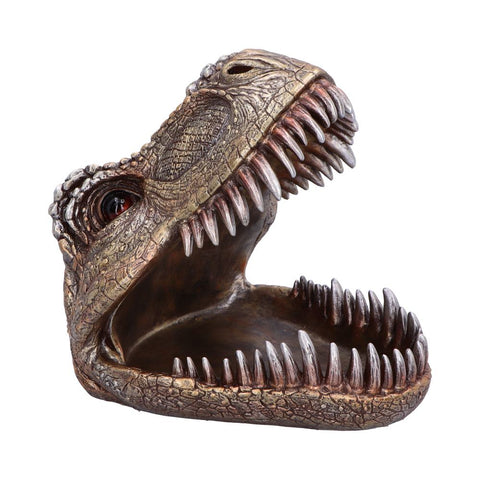 Tyrannosaurus Rex Dish 24cm - 100