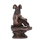 Pan (Medium) 15cm - 100