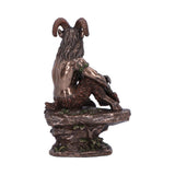 Pan (Medium) 15cm - 100