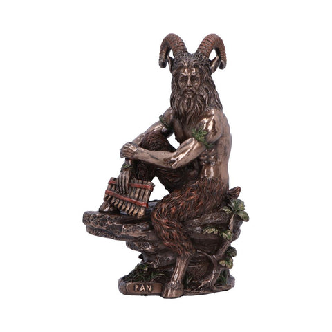 Pan (Medium) 15cm - 100