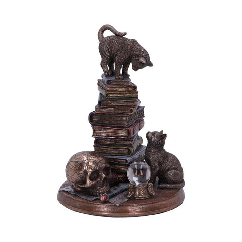 Feline Scholars 18cm - 100
