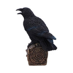Ravens Cry 18cm - 17