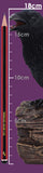 Ravens Cry 18cm - 17