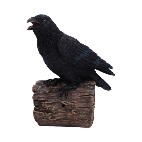 Ravens Cry 18cm - 17