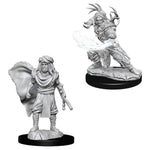 D&D Nolzur's Marvelous Miniatures Human Druid