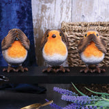 Three Wise Robins 8cm - 100