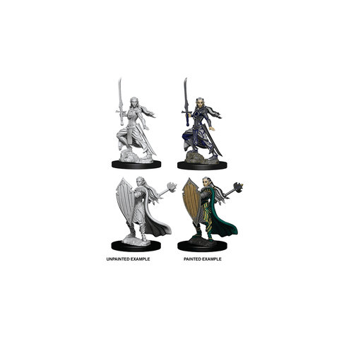 Dungeons & Dragons Nolzur's Marvelous Miniatures Elf Paladin