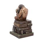 Darwinism of Evolutionary Theory  17.5cm - 100